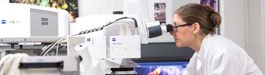 An image from a laboratory for illustration only