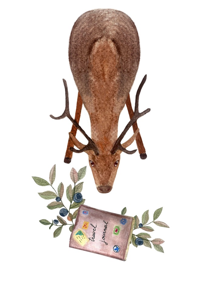 Deer and a diary watercolor flat composition illustration