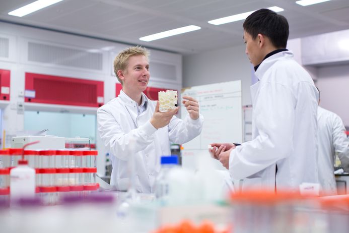 Two male students looking at an experiment in the lab
