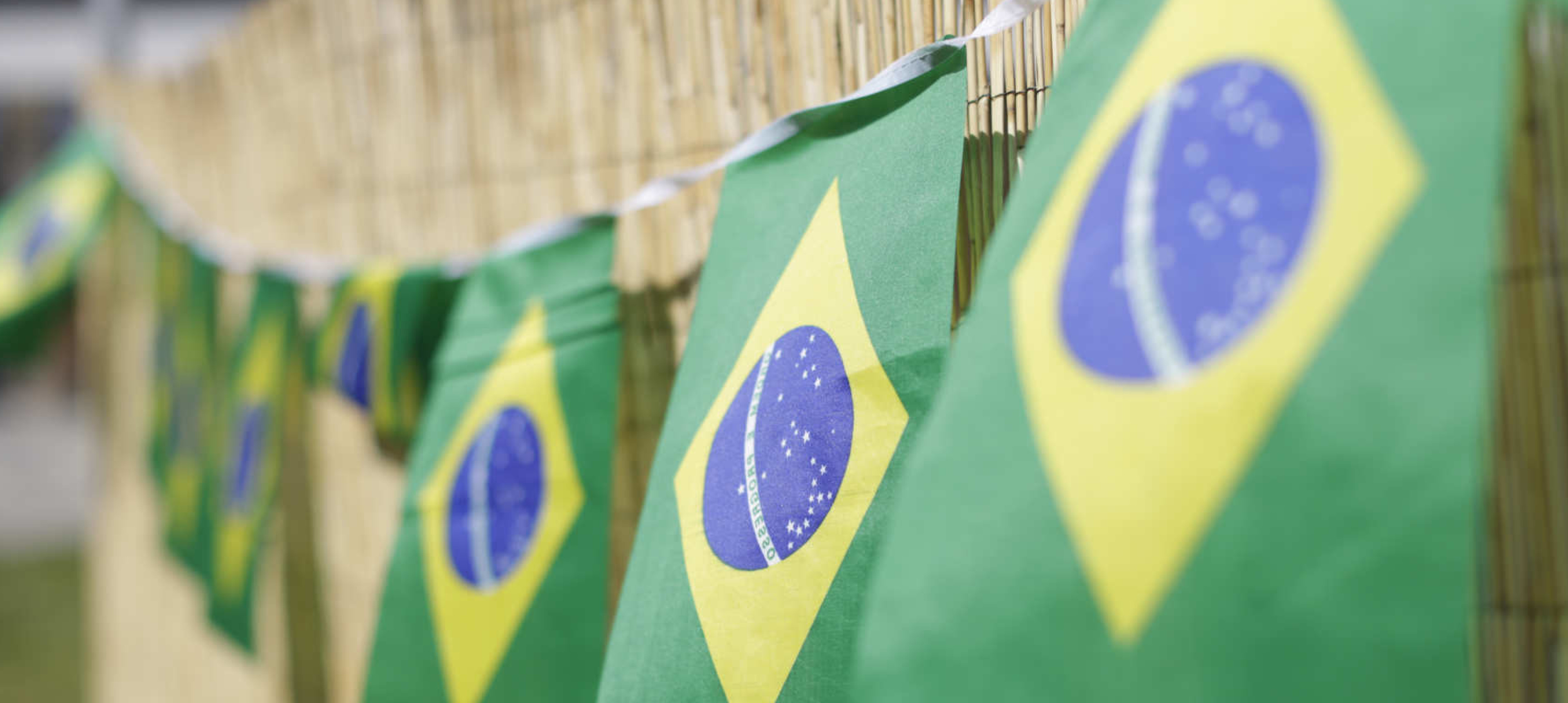 Brazilian flag bunting hanging on a cane fence